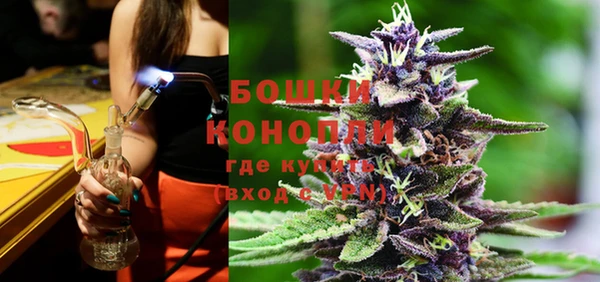 индика Тында