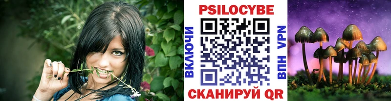 Псилоцибиновые грибы Psilocybine cubensis  что такое наркотик  darknet наркотические препараты  Белгород 